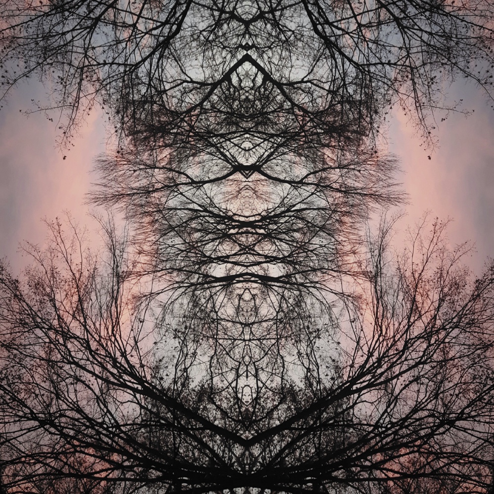 ANIMA11 – 2021