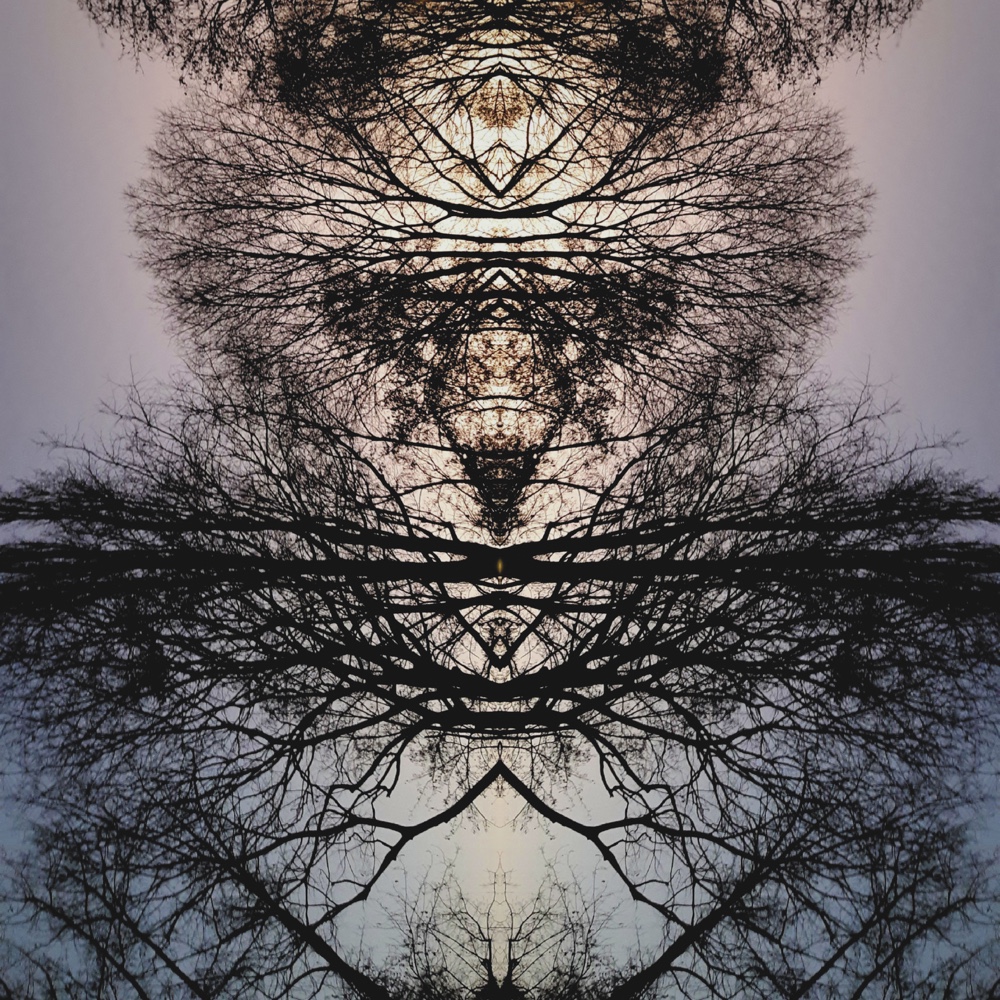 ANIMA12 – 2021