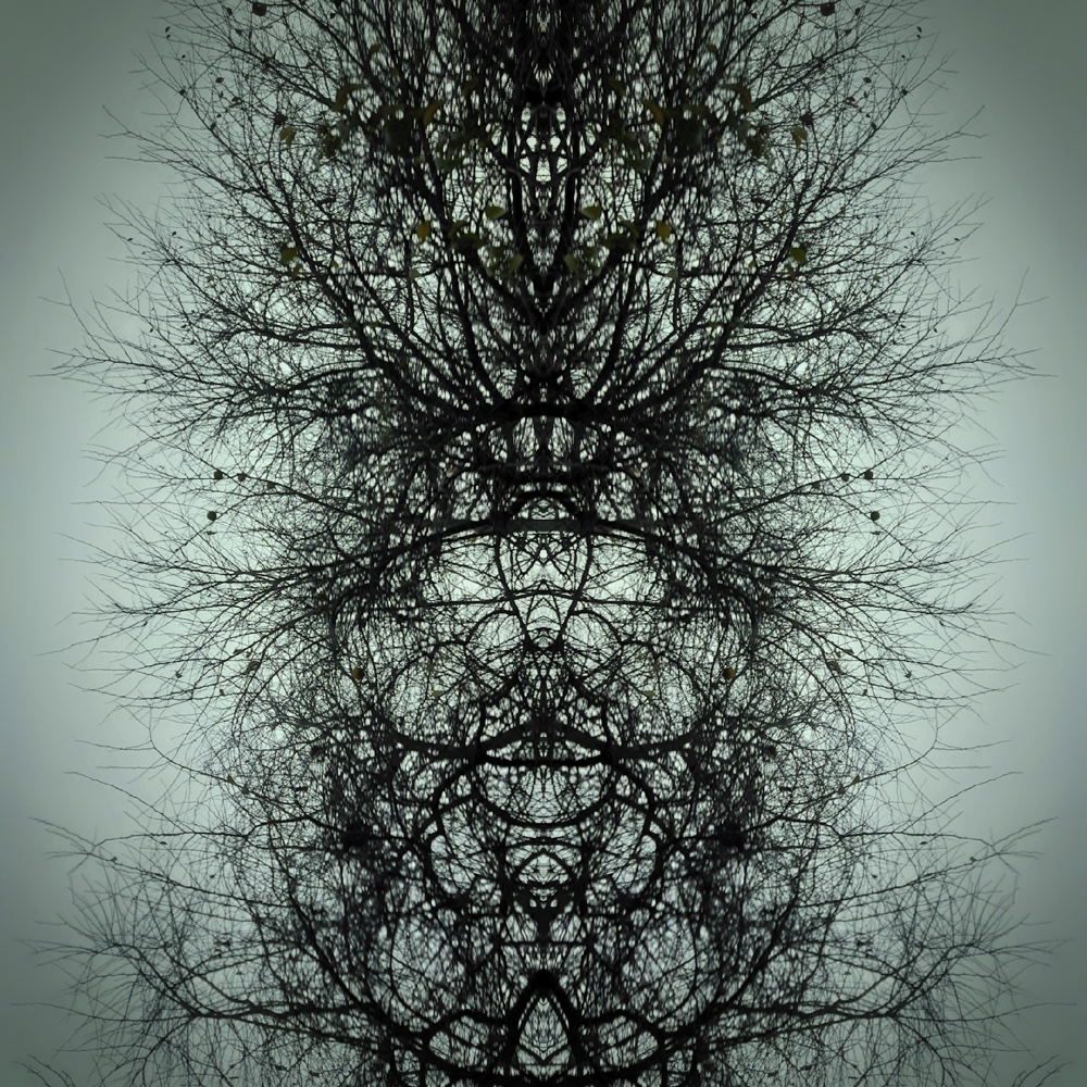ANIMA13 – 2021