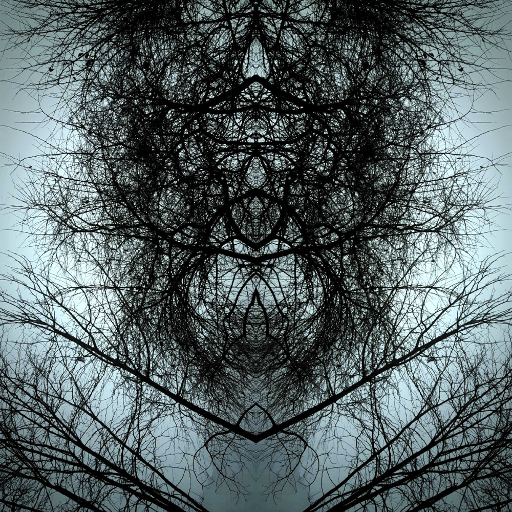 ANIMA15 – 2021