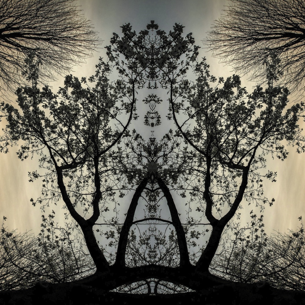 ANIMA19 – 2022
