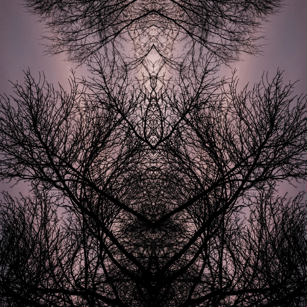 ANIMA22 – 2022