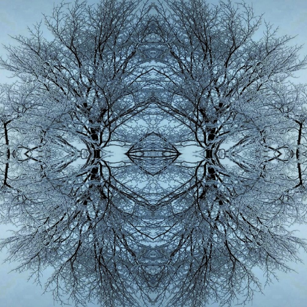 ANIMA28 – 2022