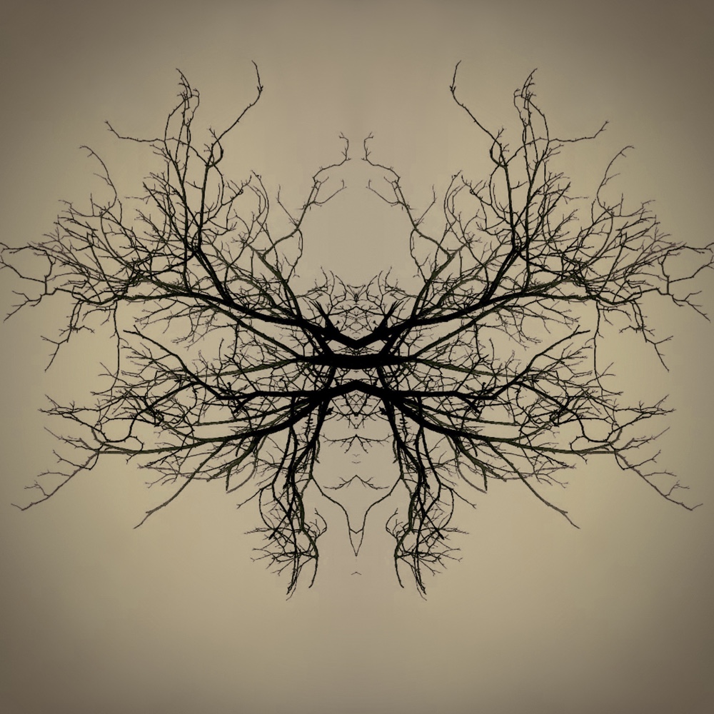 ANIMA31 – 2022