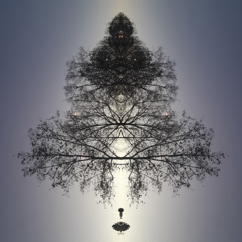 ANIMA36 – 2022