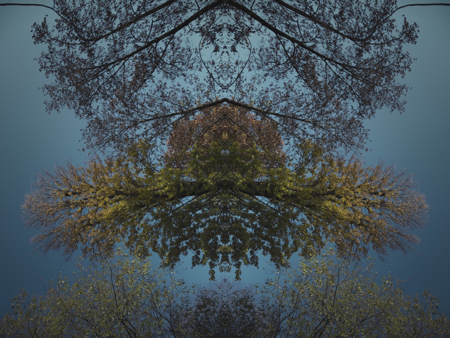 AQUA04