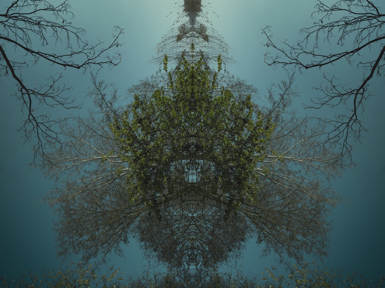 AQUA02