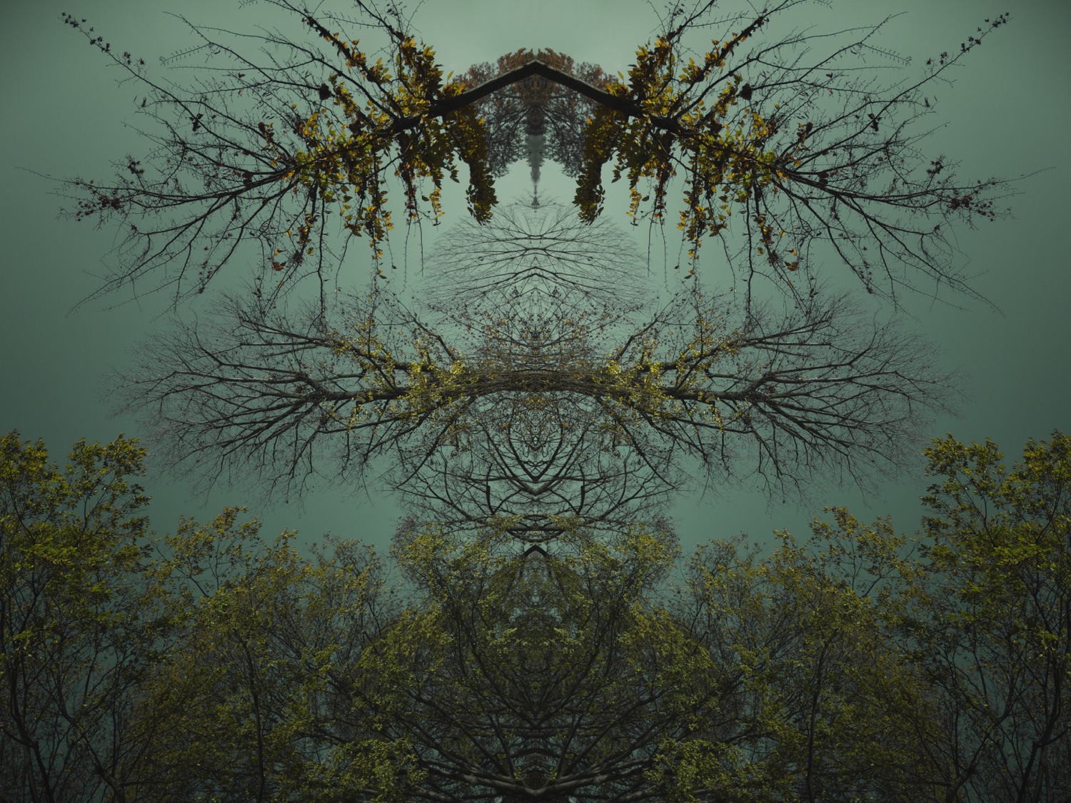 AQUA06
