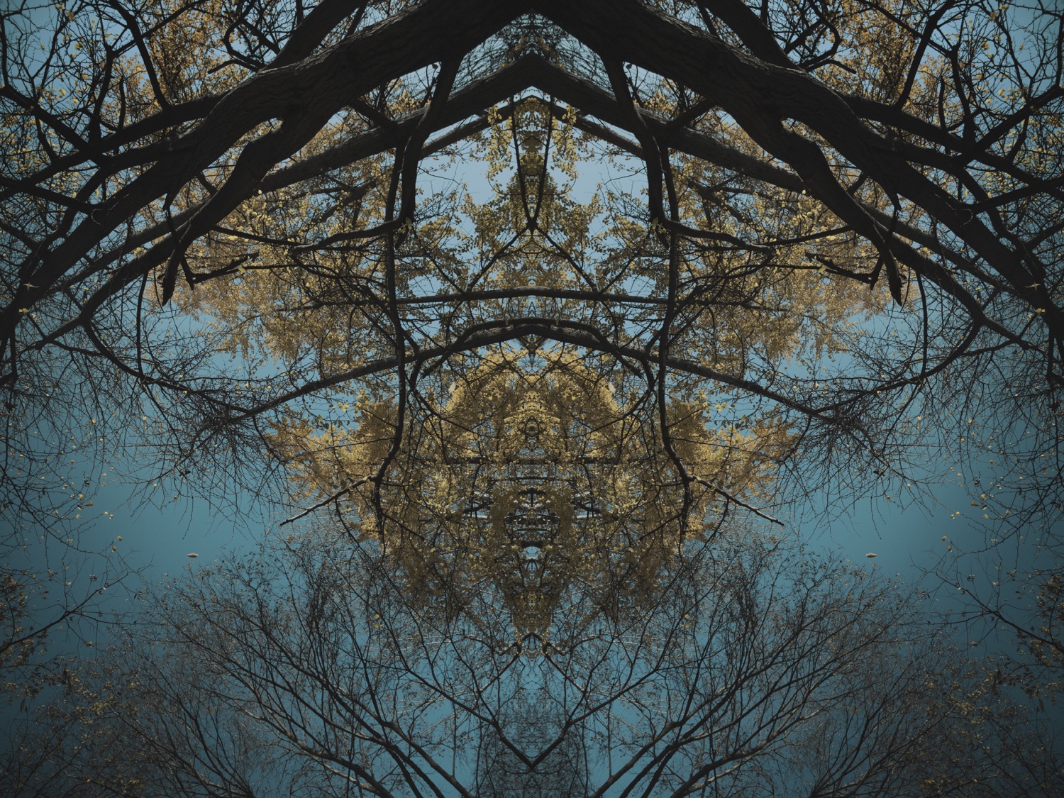 AQUA11