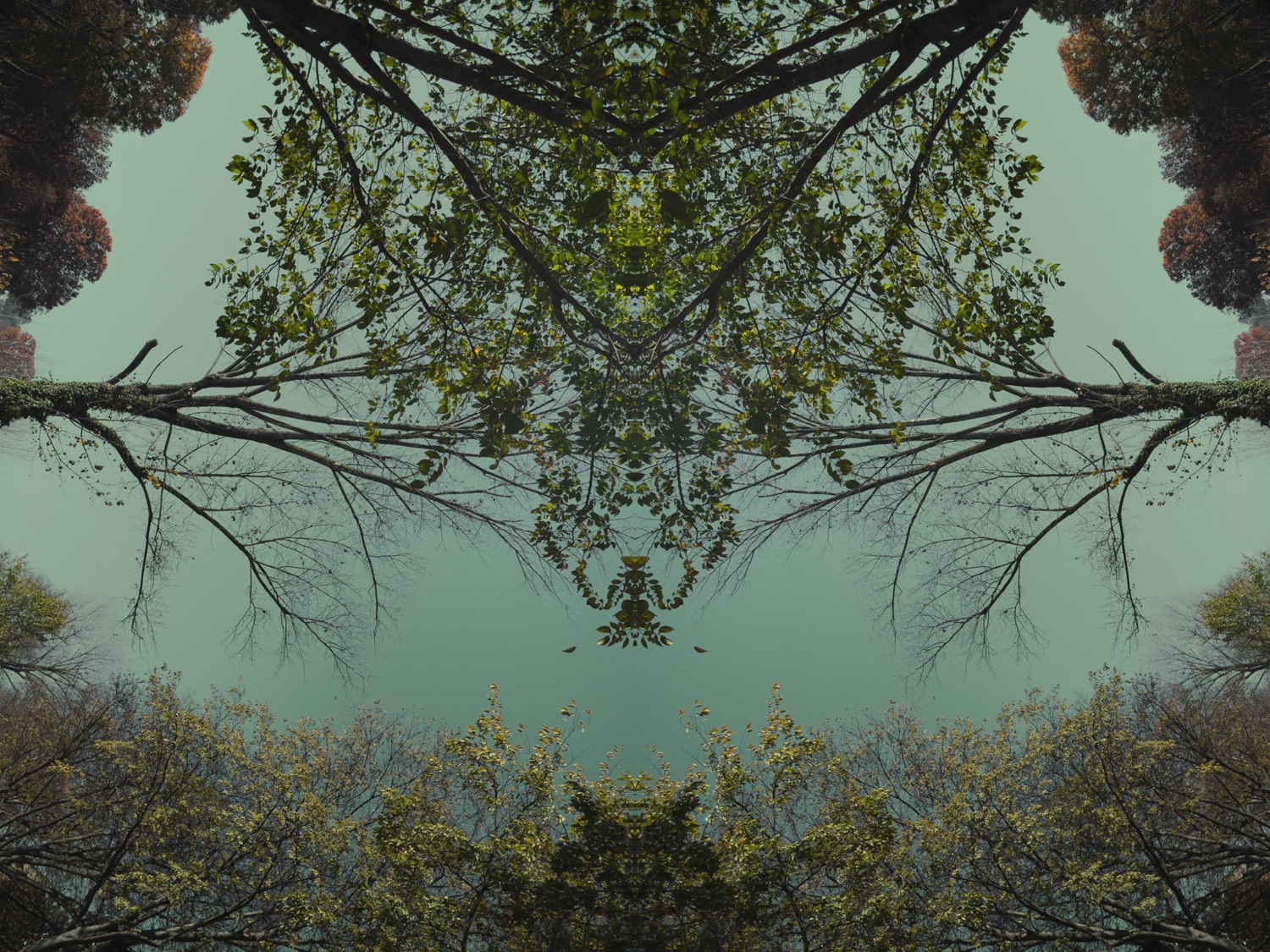 AQUA12
