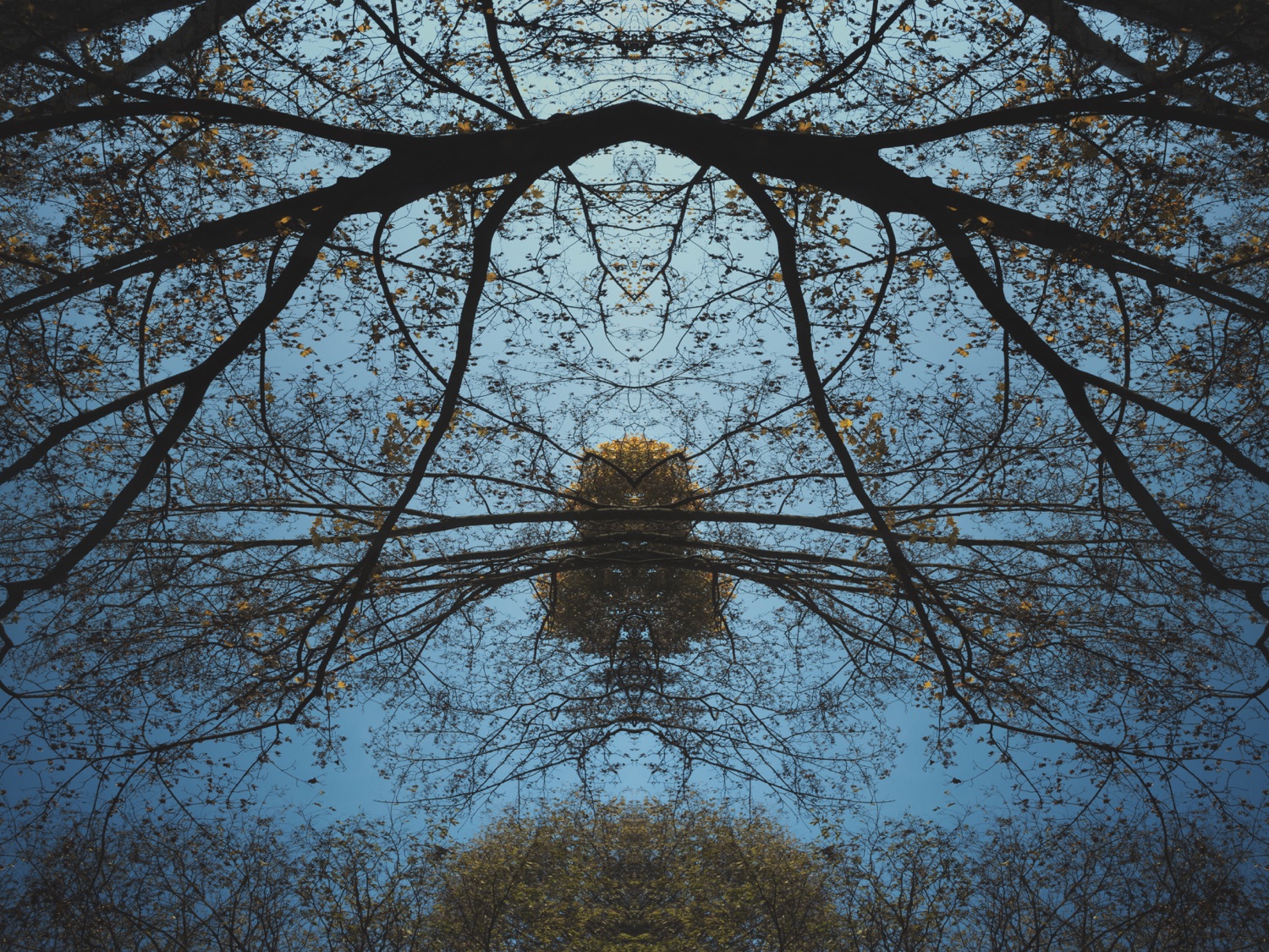 AQUA14