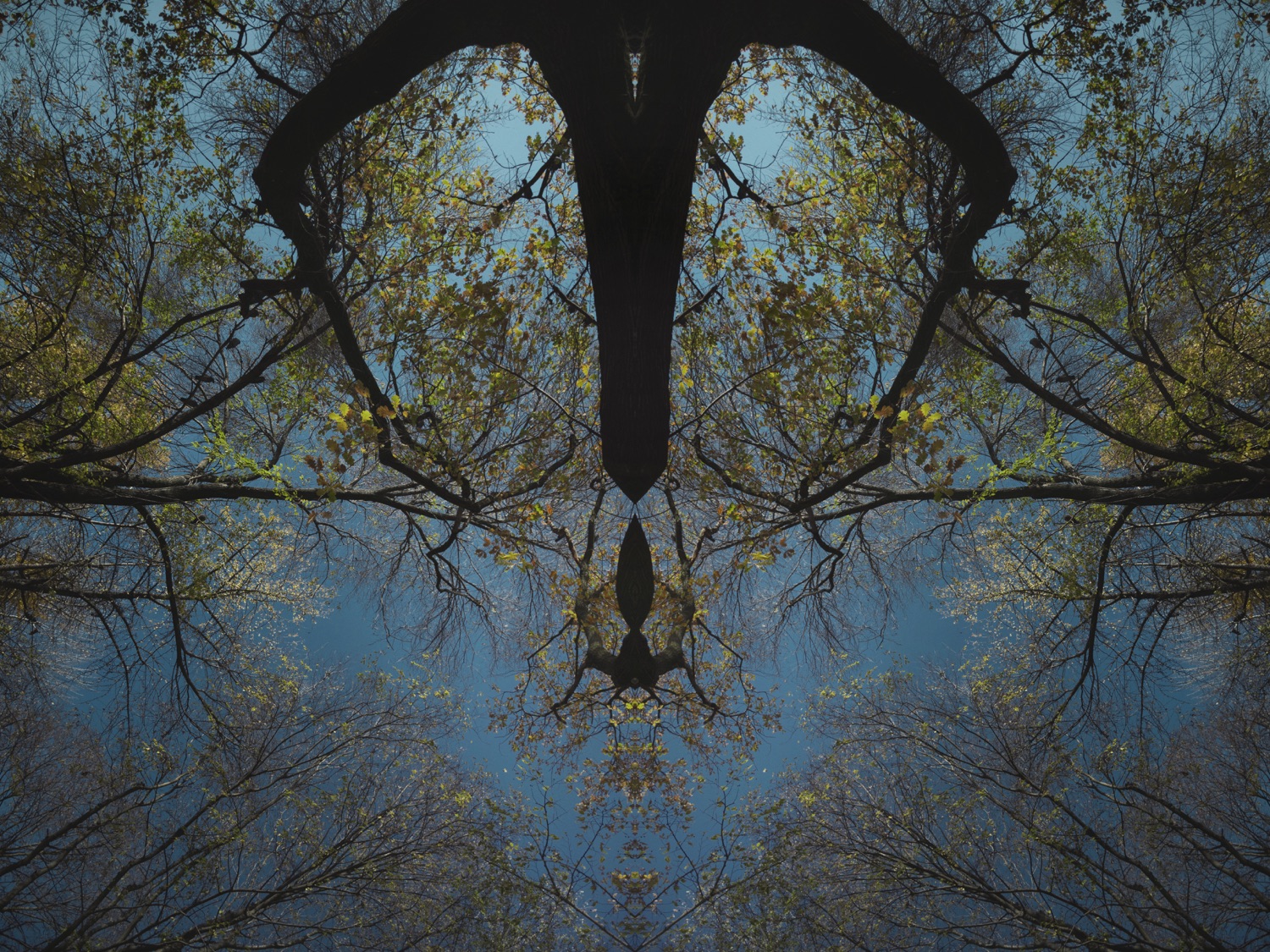 AQUA15
