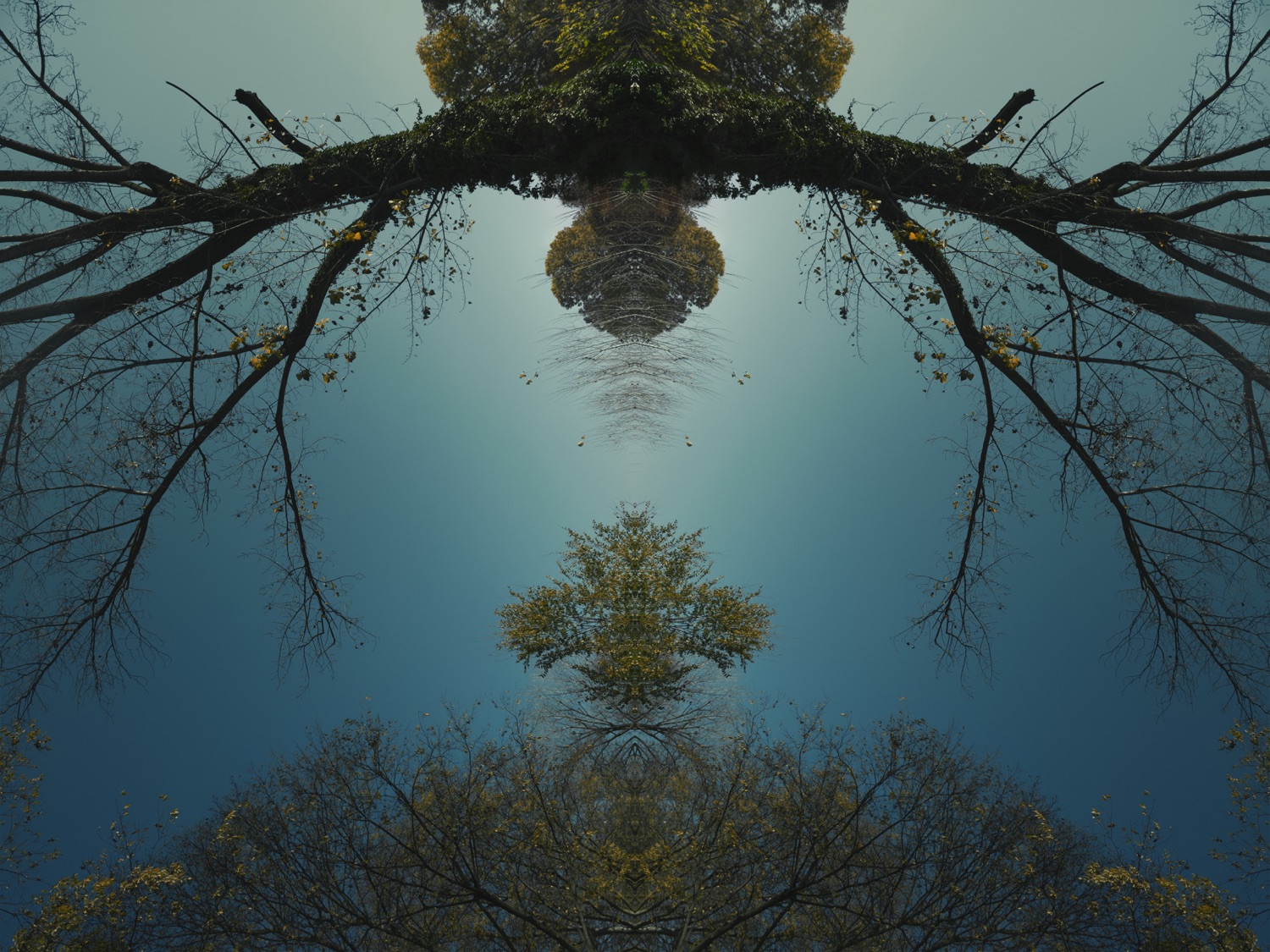 AQUA16