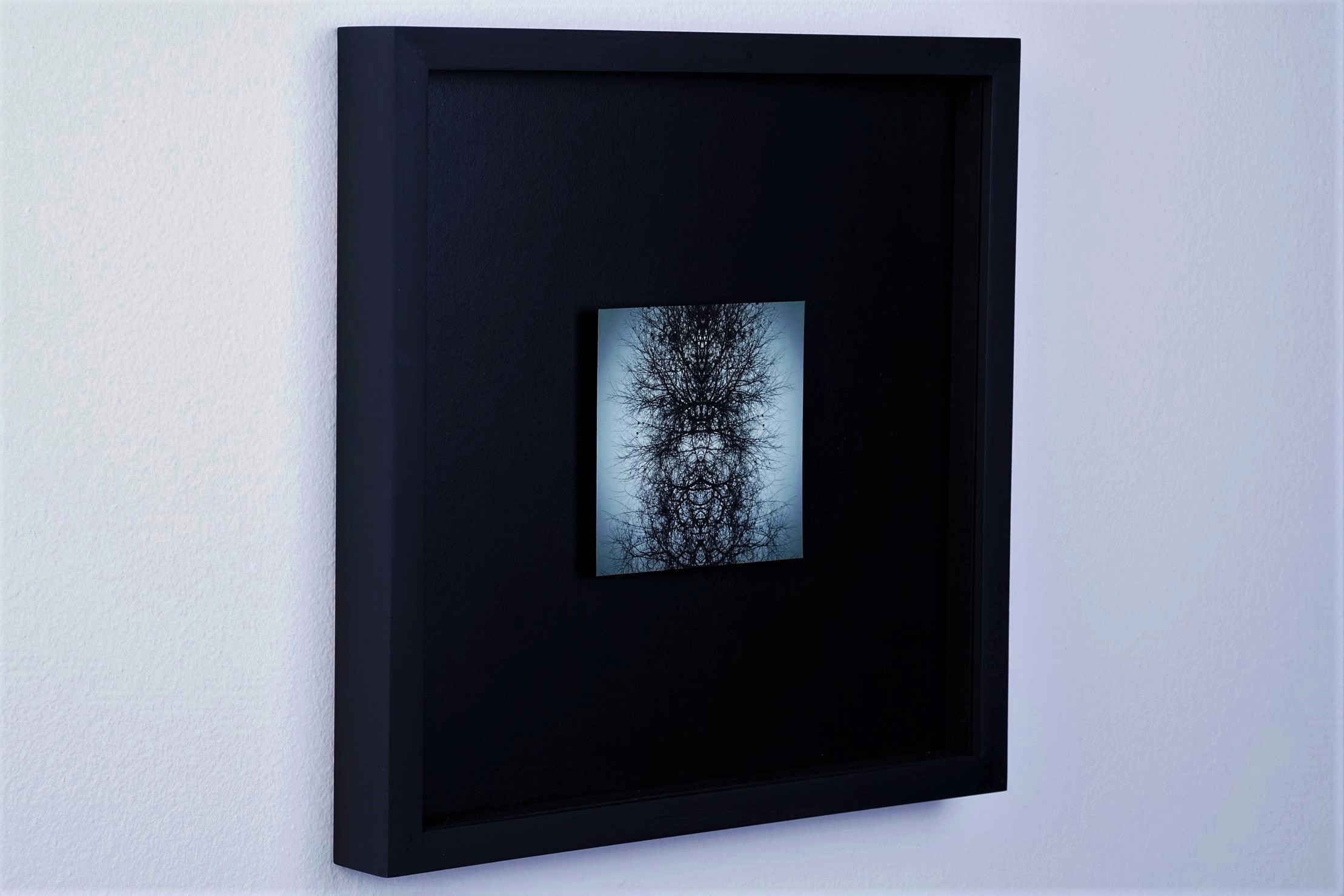 ANIMAE_FRAMED