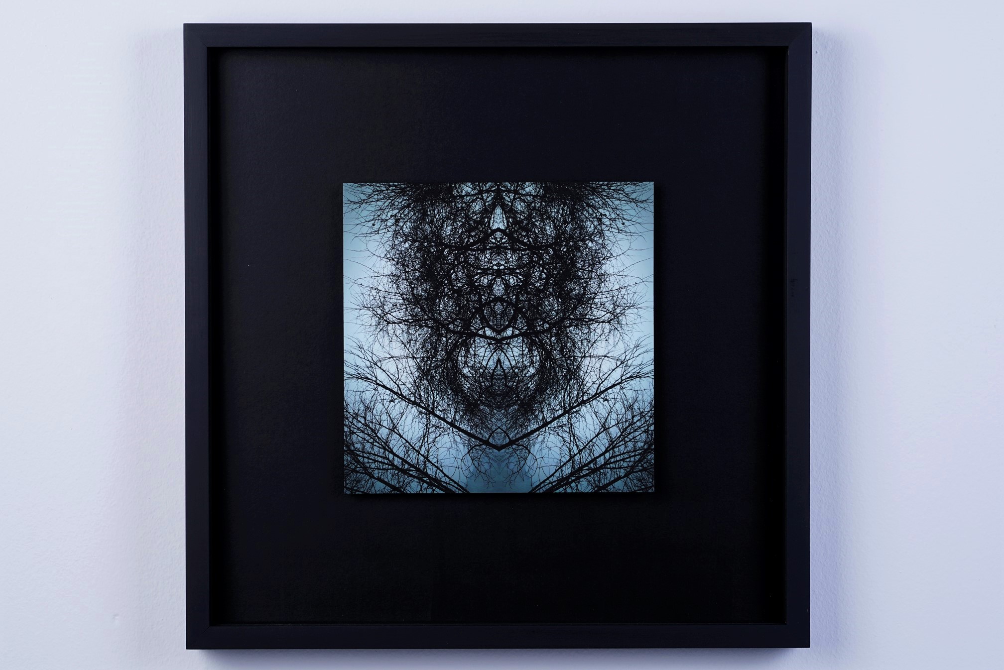 ANIMAE_FRAMED