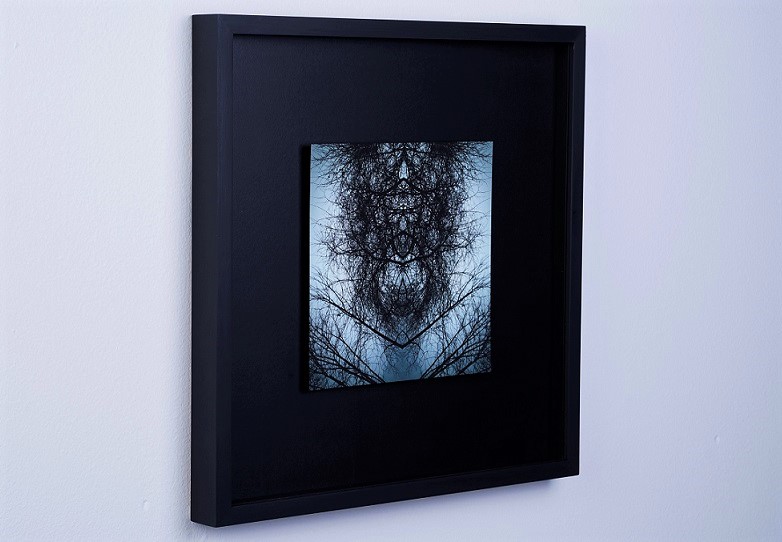 ANIMAE_FRAMED
